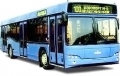 Городские автобусы МАЗ 1034 (МАЗ-103462, 103465 и 103476)