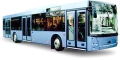 Городской автобус МАЗ 203 (МАЗ-203065 и МАЗ-203067)