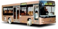 Пригородный автобус МАЗ 206 (МАЗ-206060, МАЗ-206067)